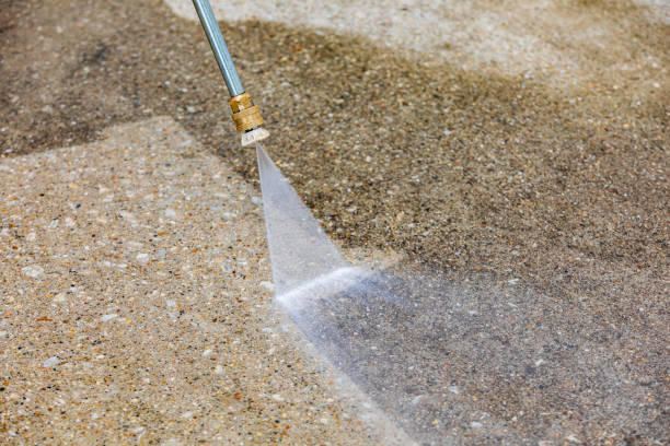 Animal Enclosure Cleaning in Atkinson, IL