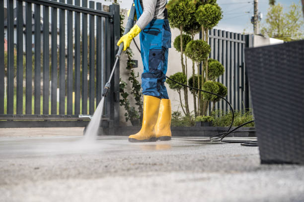 Best Sidewalk and Walkway Cleaning  in Atkinson, IL